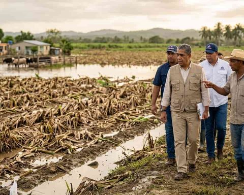 Gobierno verifica daños por lluvias en la agricultura en el Este